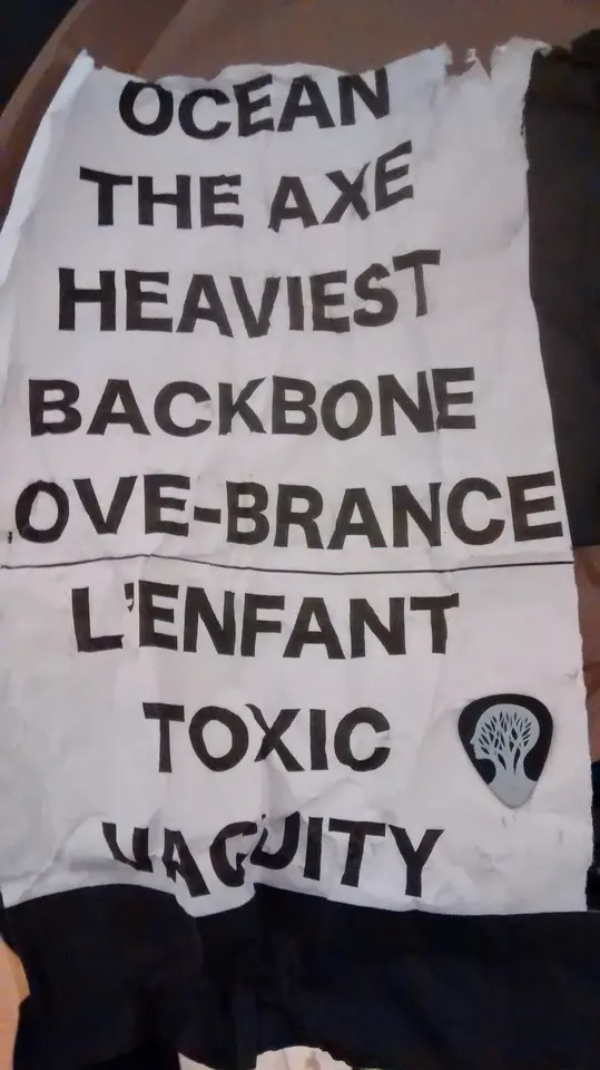 La setlist de Gojira et son médiator arbre