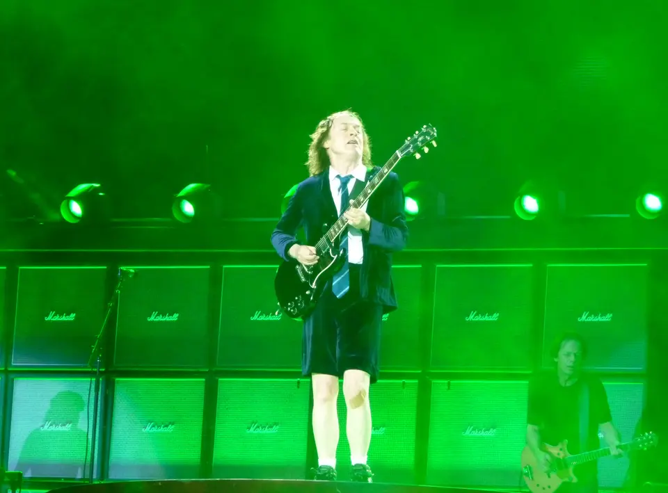 Angus dans le vert