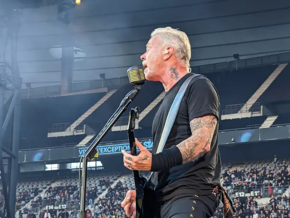 James Hetfield, depuis le Snake Pit