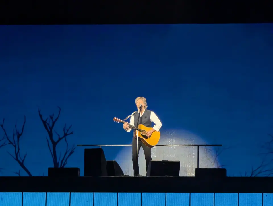Arbres nus et guitare folk